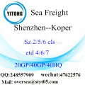 Shenzhen porto mare che spediscono a Koper
